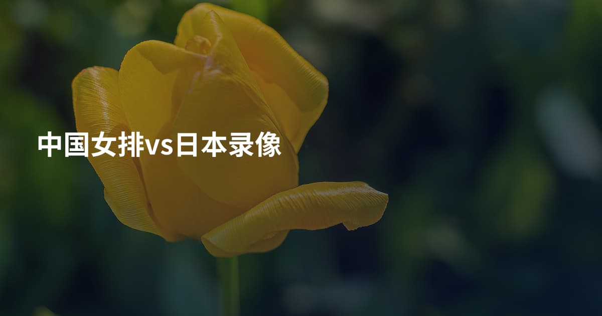 中国女排vs日本录像