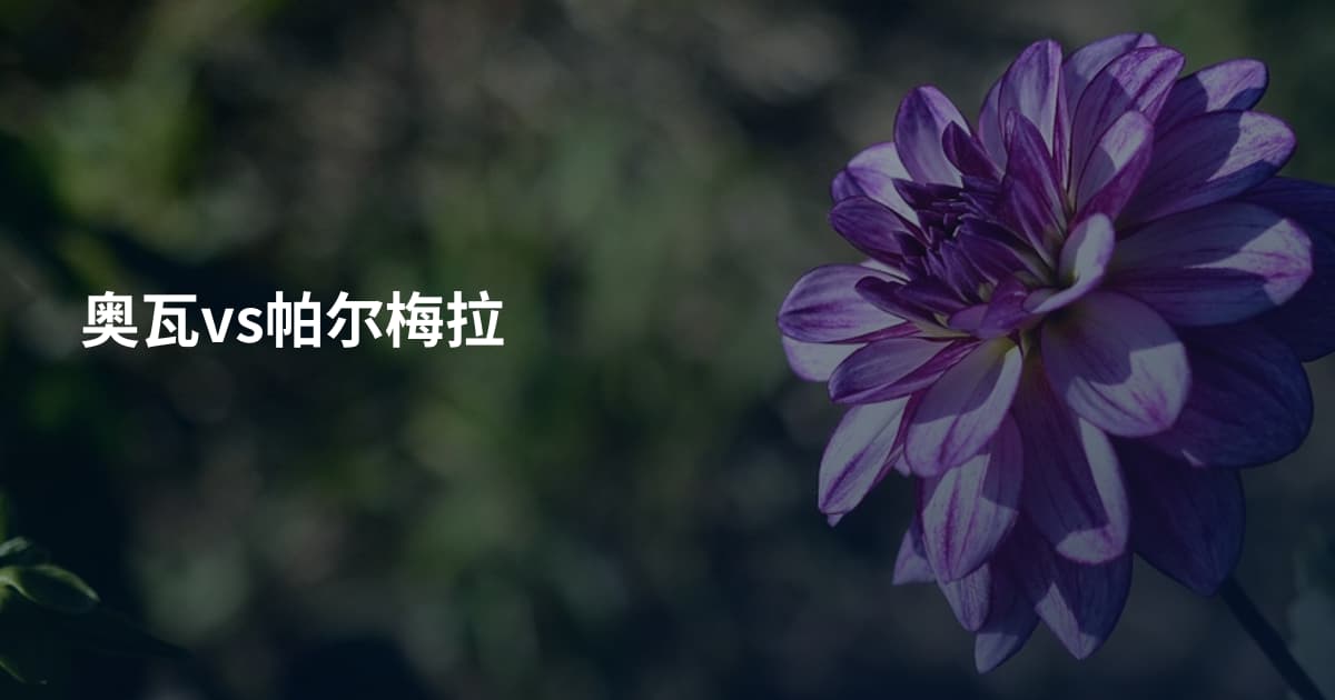奥瓦vs帕尔梅拉