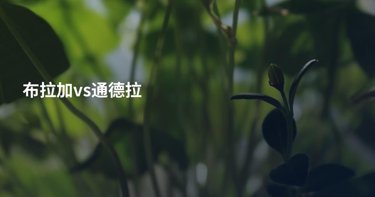 布拉加vs通德拉