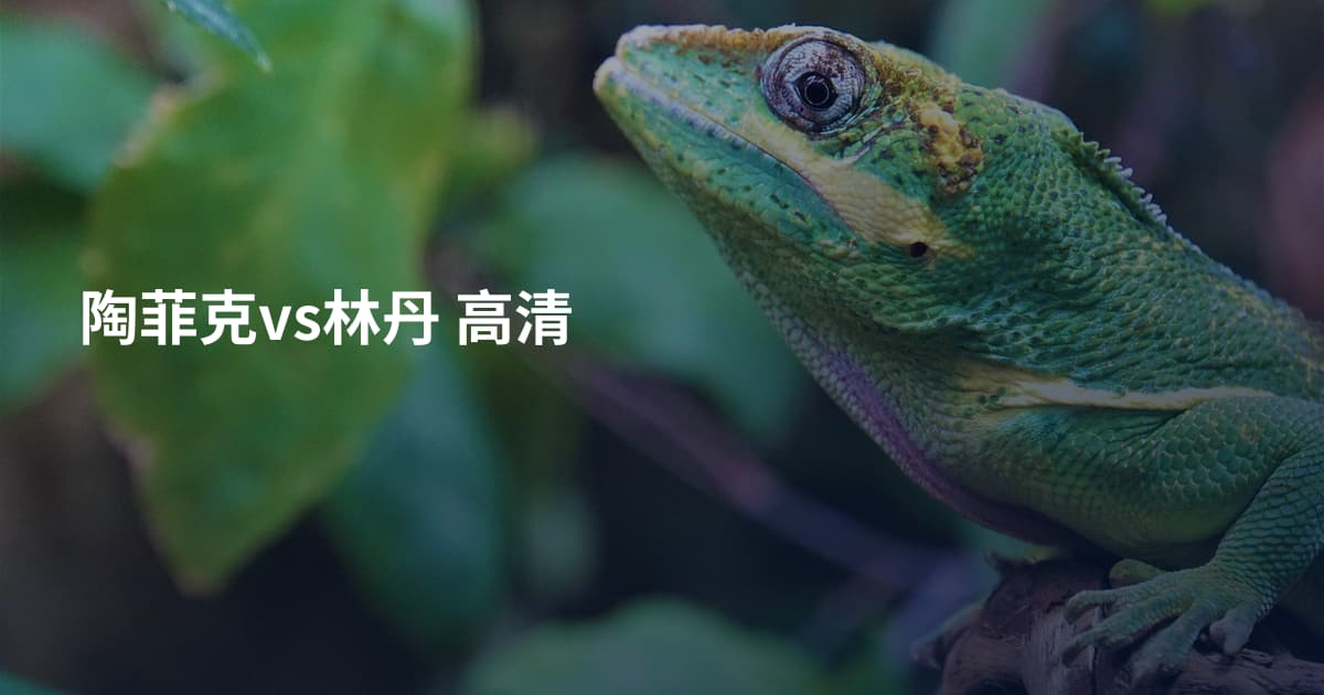 陶菲克vs林丹 高清