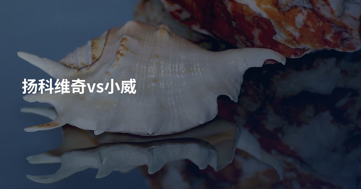 扬科维奇vs小威