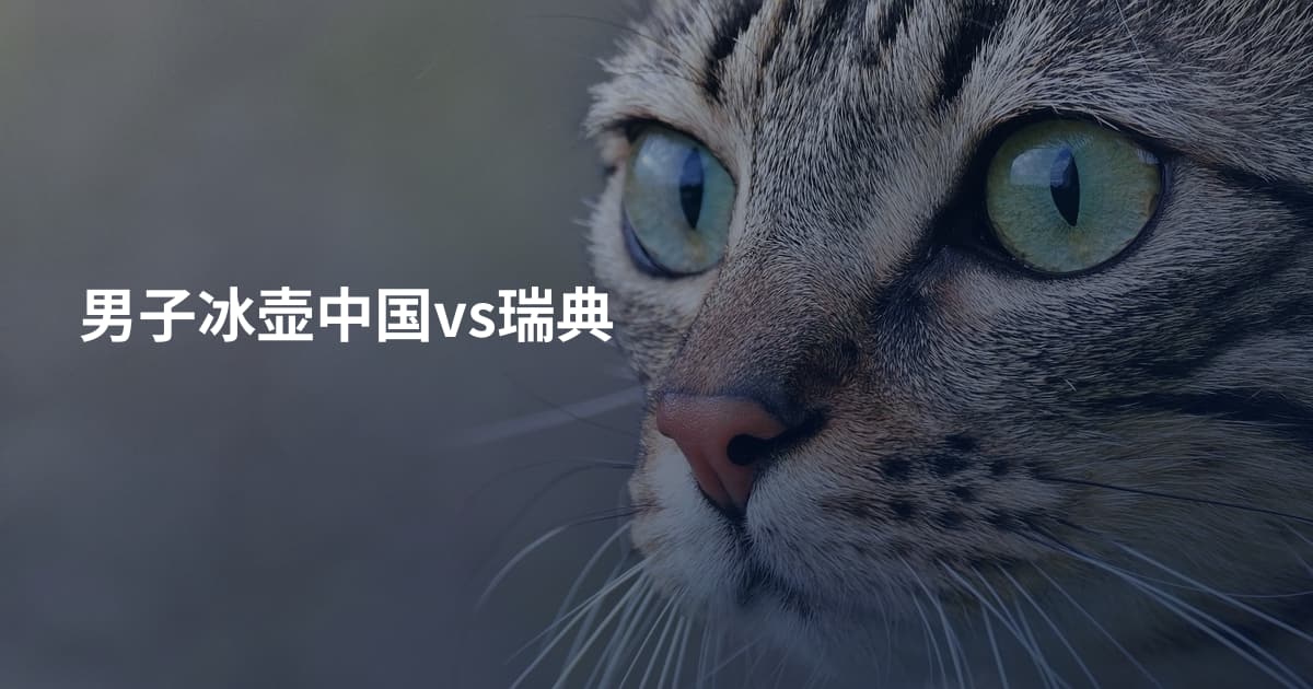 男子冰壶中国vs瑞典