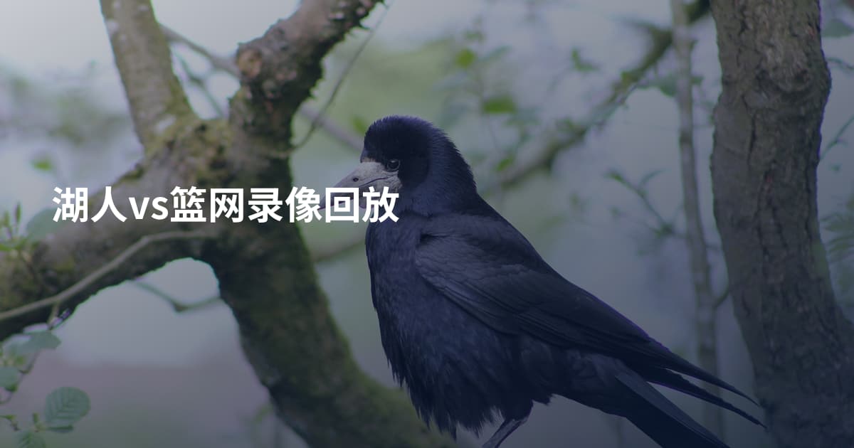 湖人vs篮网录像回放