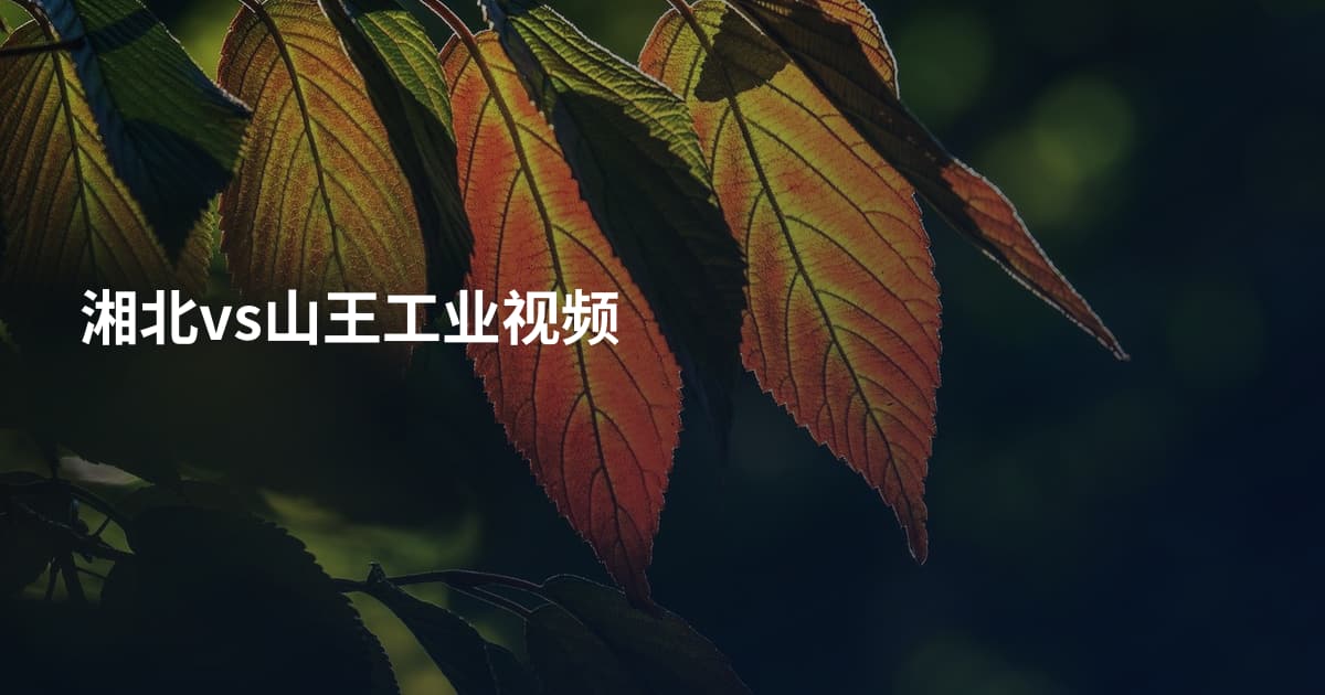 湘北vs山王工业视频
