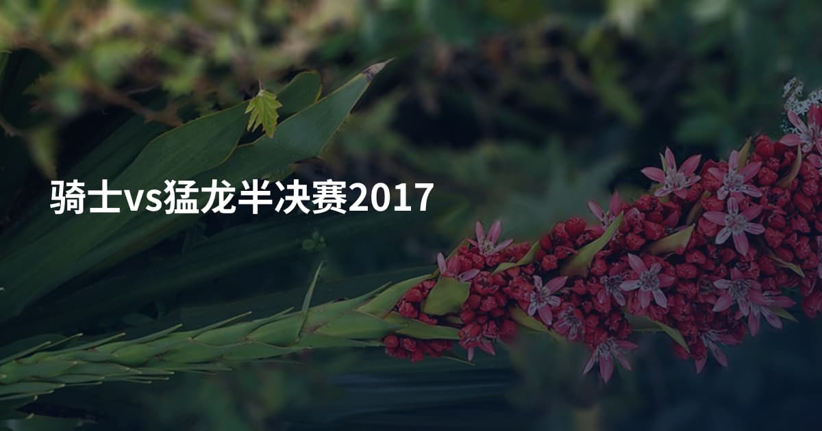 骑士vs猛龙半决赛2017