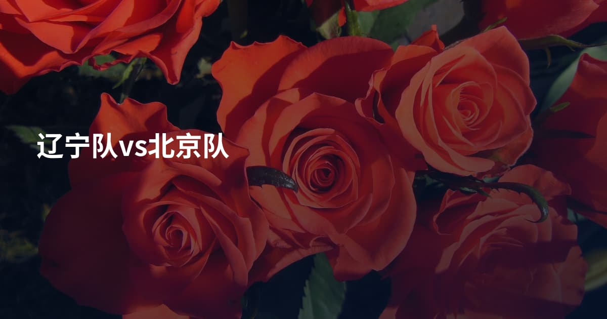 辽宁队vs北京队