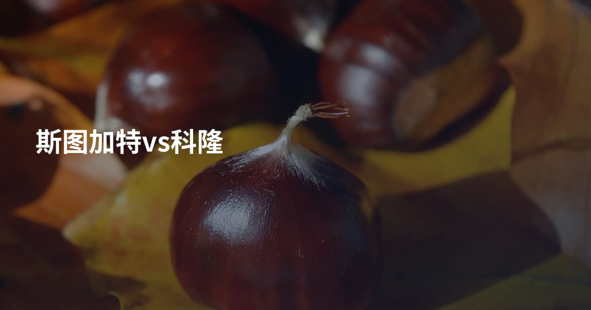 斯图加特vs科隆