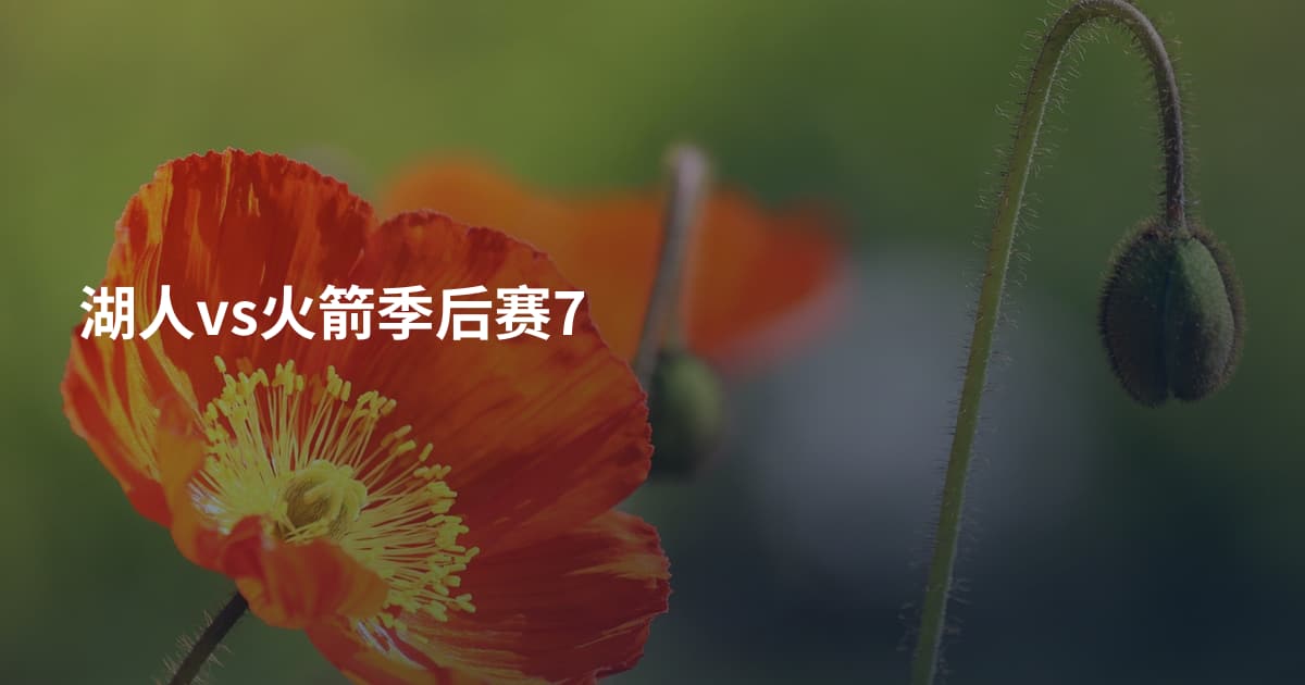 湖人vs火箭季后赛7