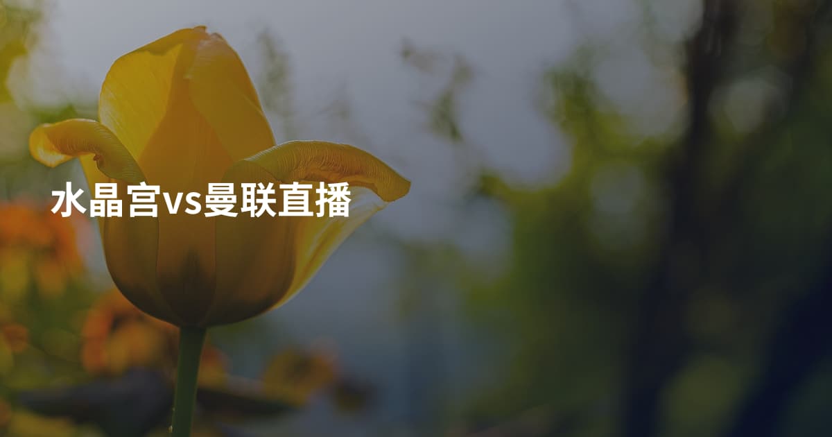 水晶宫vs曼联直播