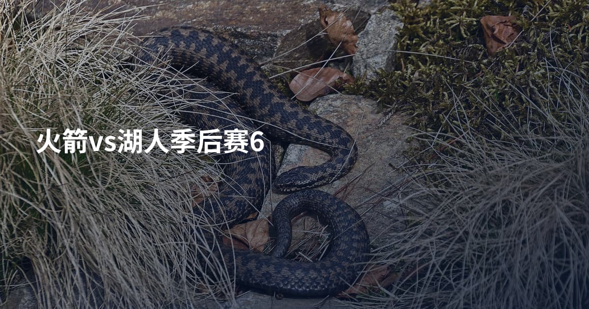 火箭vs湖人季后赛6