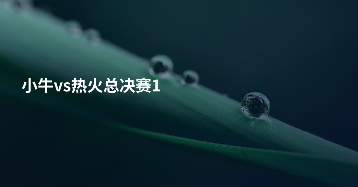 小牛vs热火总决赛1