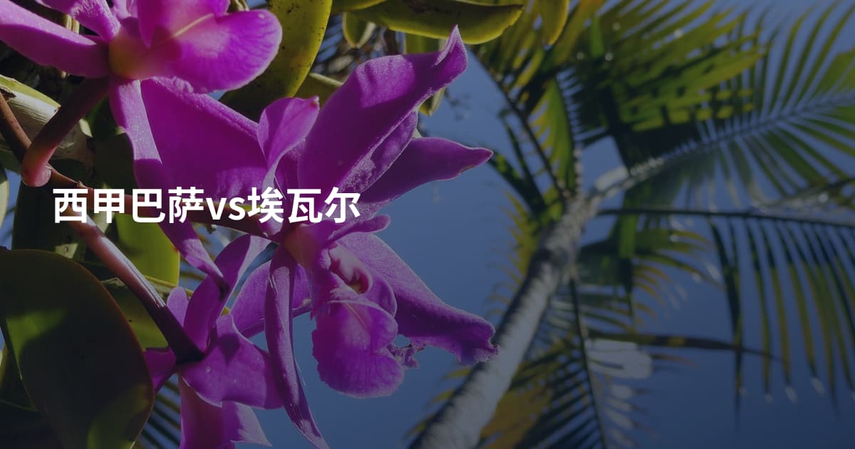 西甲巴萨vs埃瓦尔