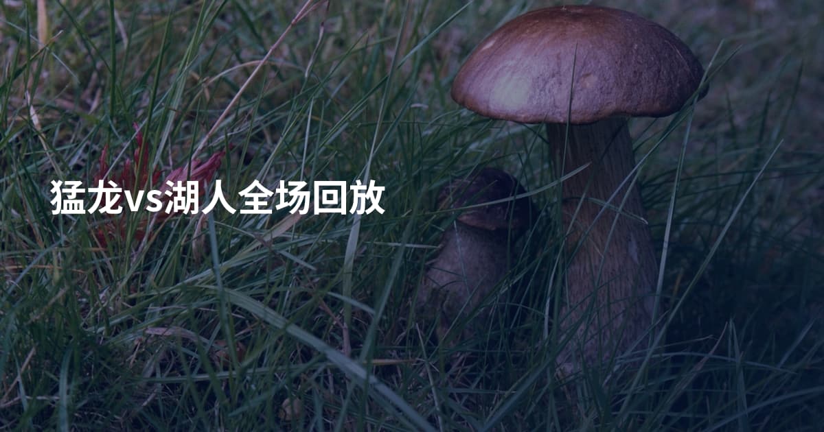 猛龙vs湖人全场回放