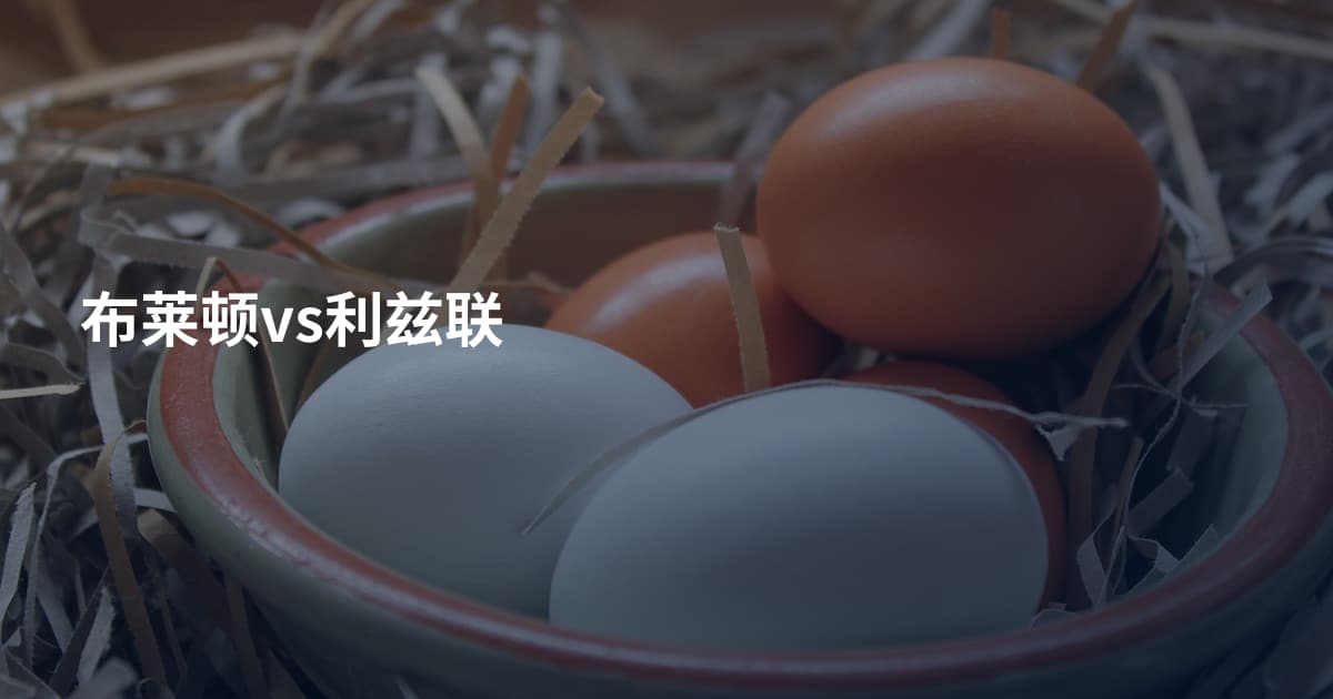 布莱顿vs利兹联