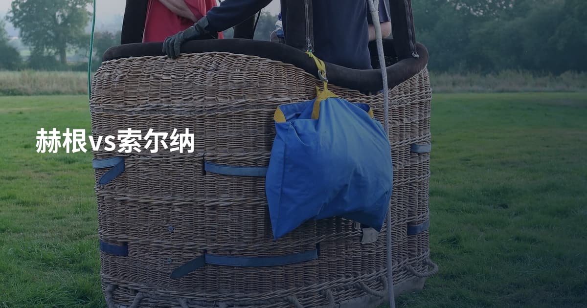 赫根vs索尔纳