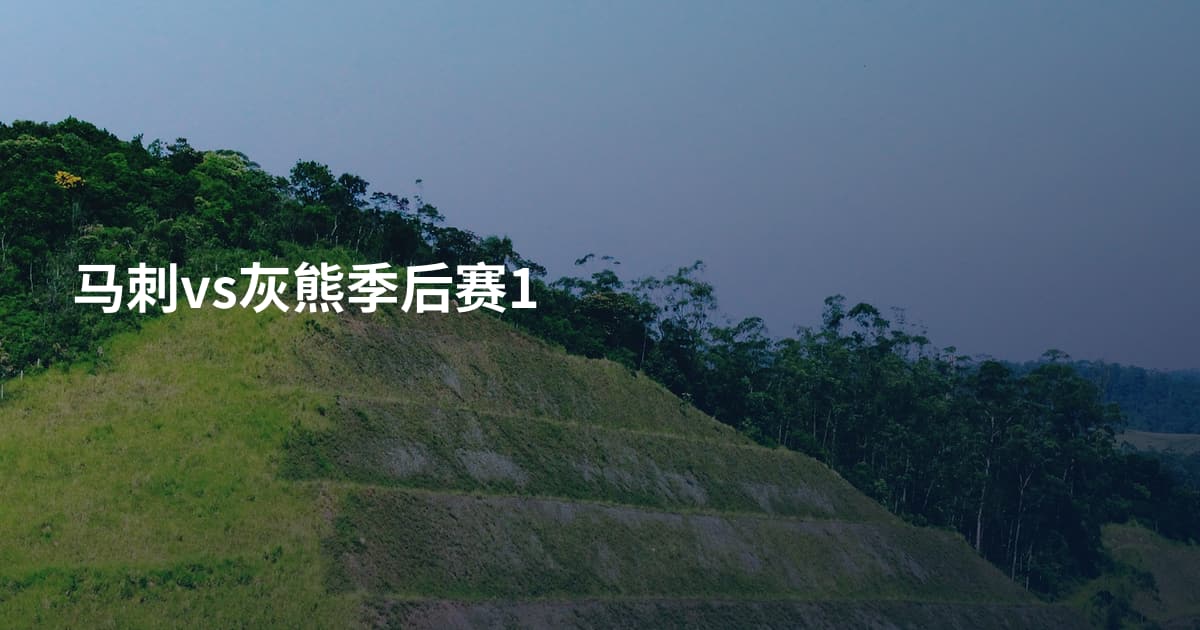 马刺vs灰熊季后赛1