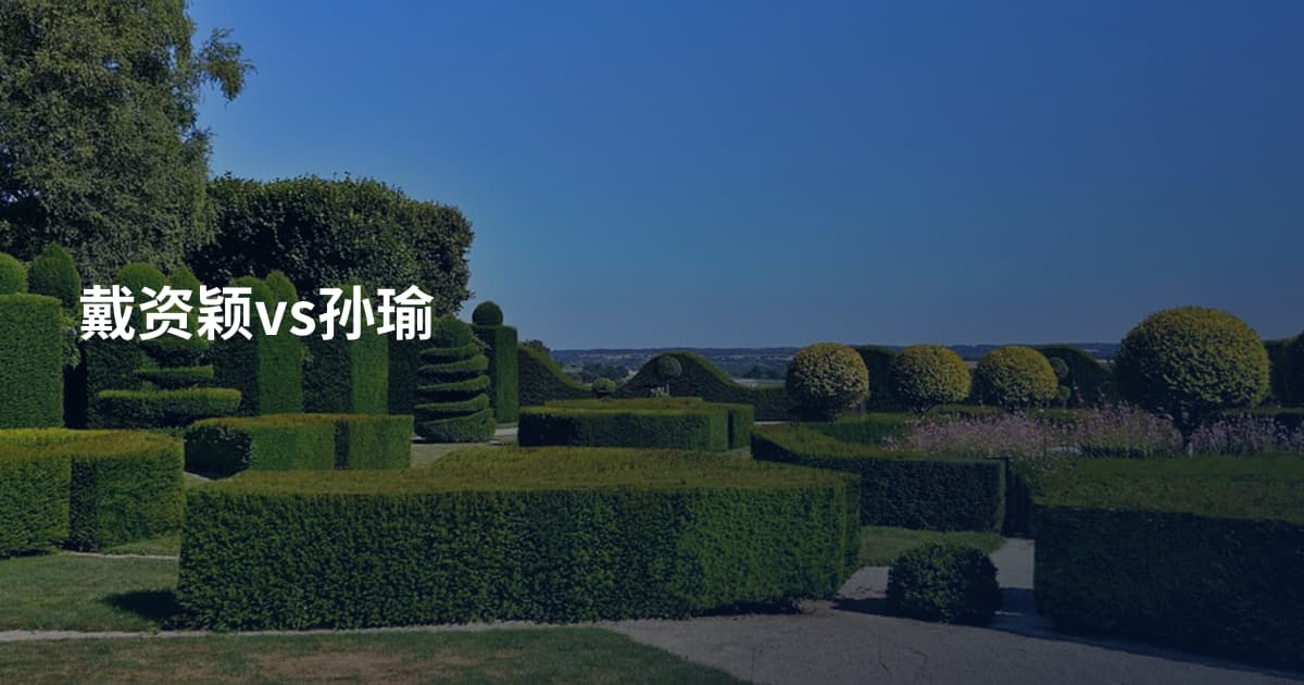 戴资颖vs孙瑜