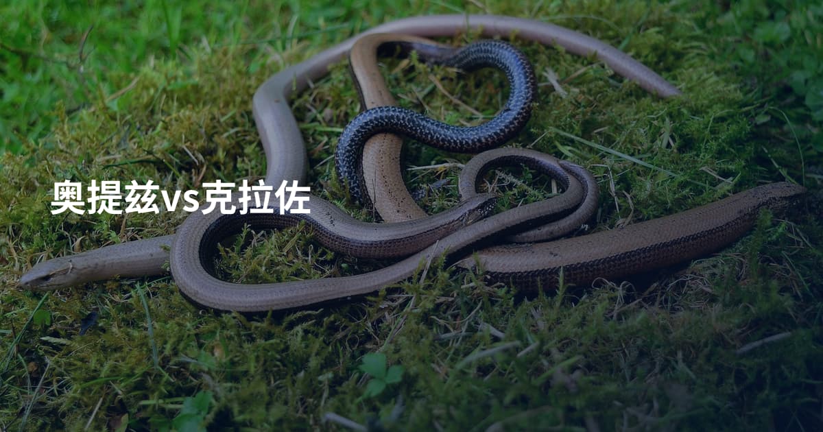 奥提兹vs克拉佐