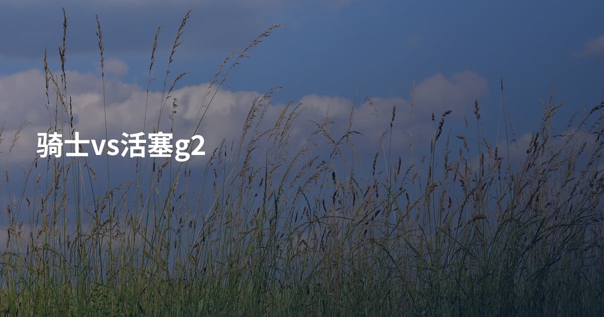 骑士vs活塞g2