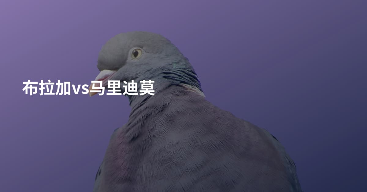 布拉加vs马里迪莫