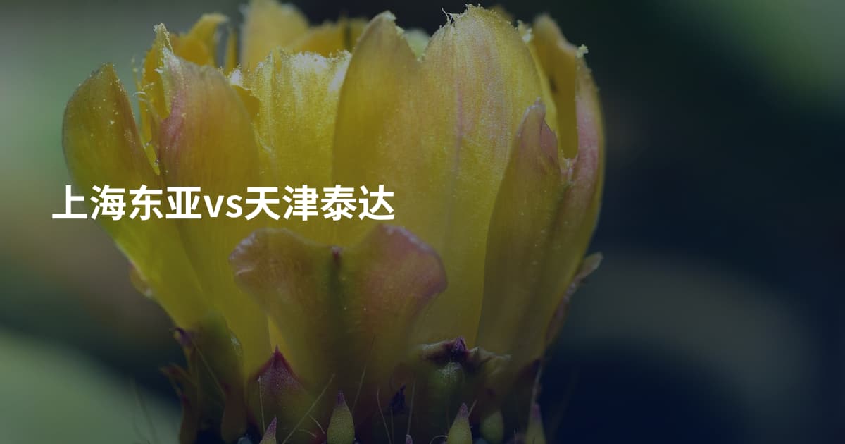 上海东亚vs天津泰达