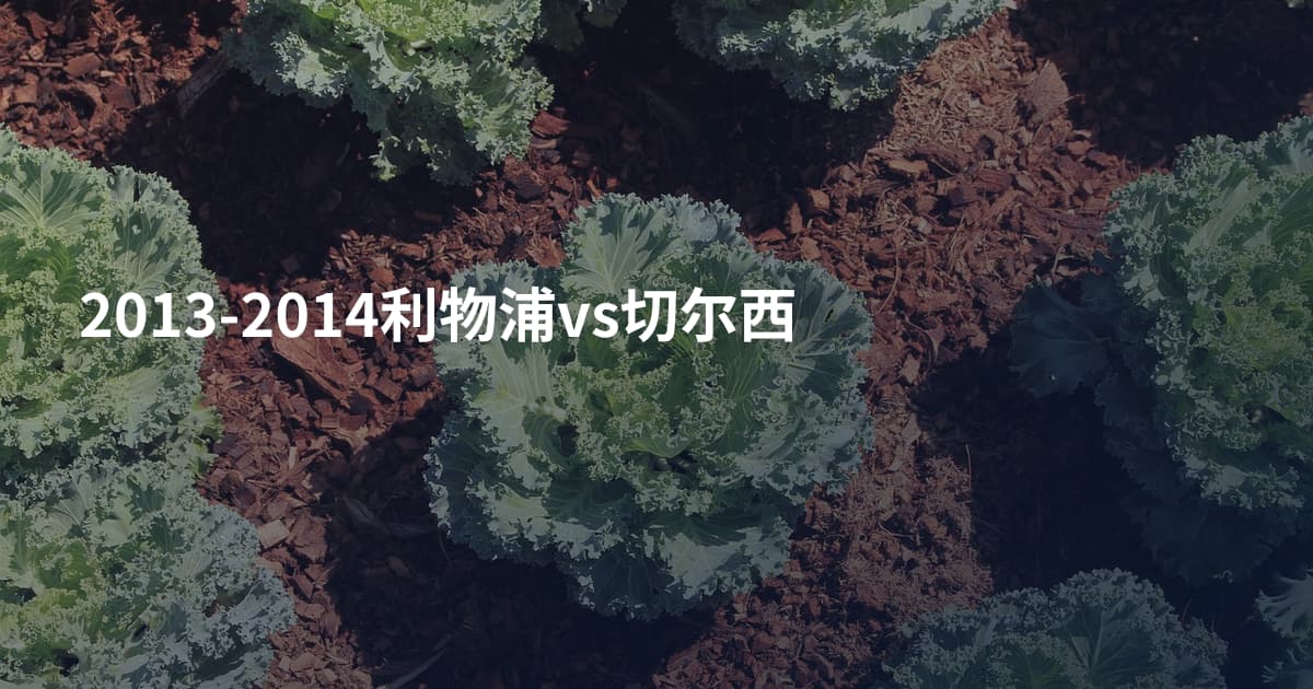 2013-2014利物浦vs切尔西