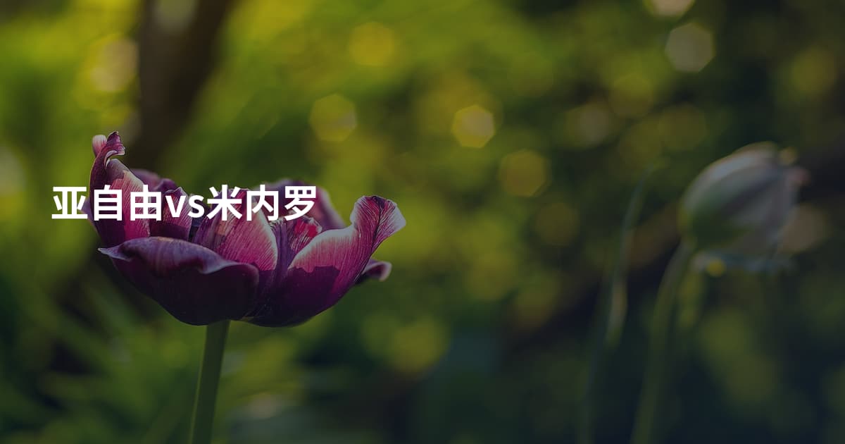 亚自由vs米内罗