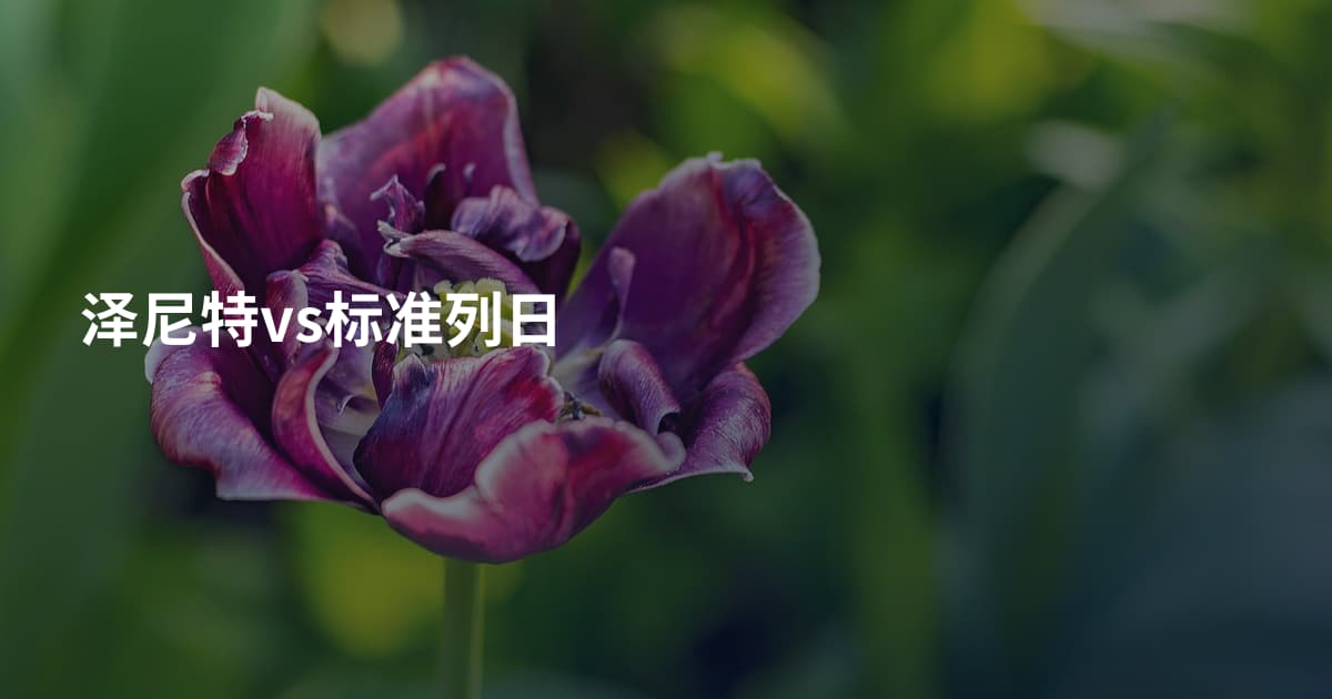 泽尼特vs标准列日