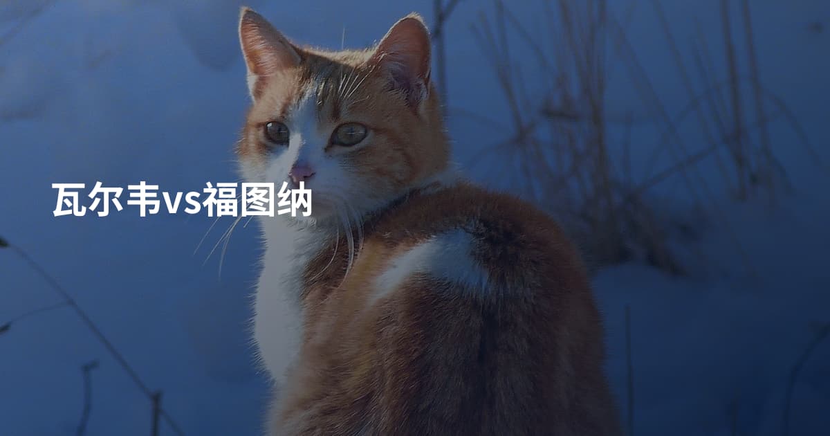 瓦尔韦vs福图纳