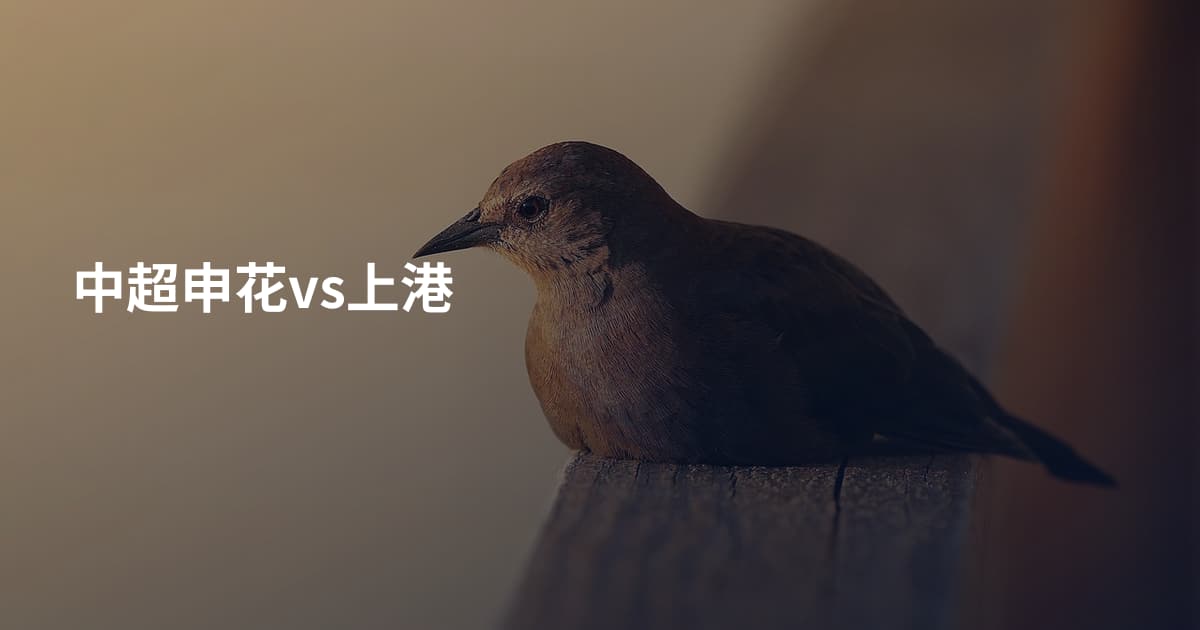 中超申花vs上港