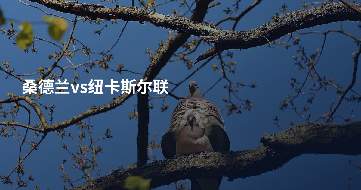 桑德兰vs纽卡斯尔联