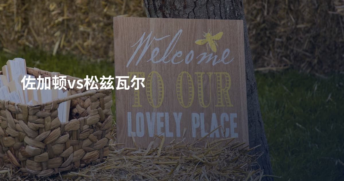 佐加顿vs松兹瓦尔