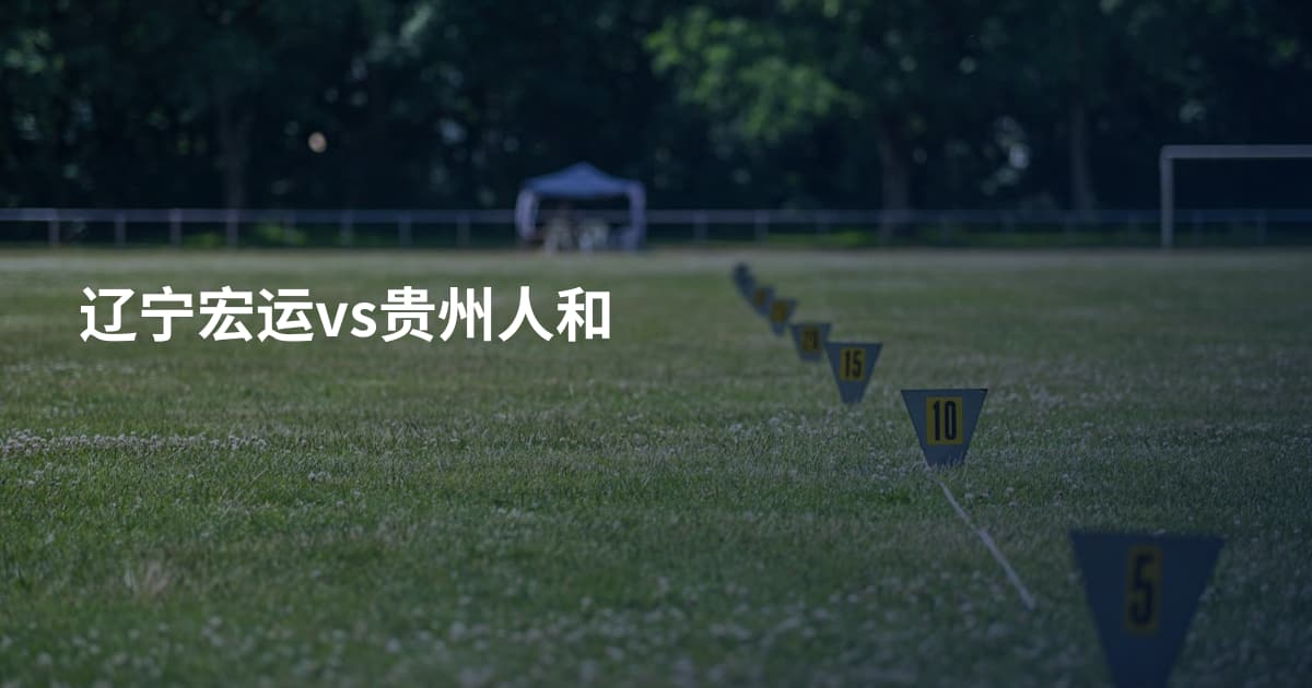 辽宁宏运vs贵州人和