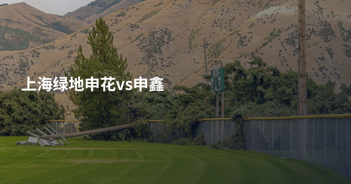 上海绿地申花vs申鑫