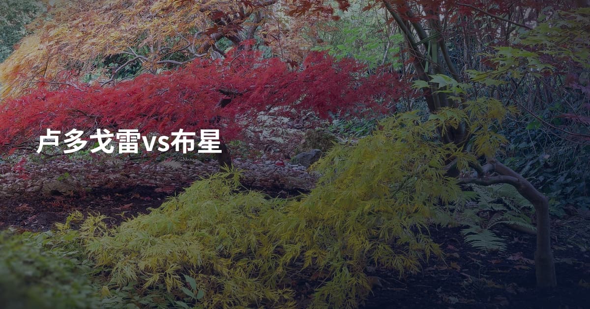 卢多戈雷vs布星