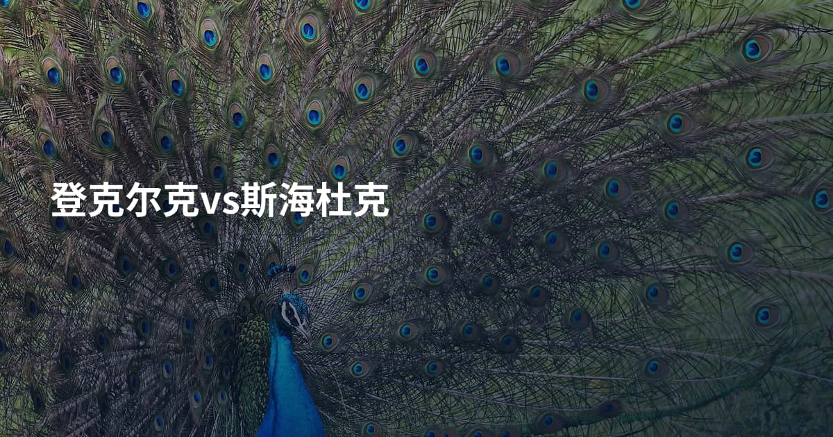 登克尔克vs斯海杜克