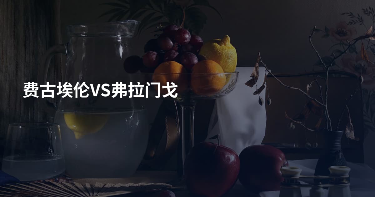 费古埃伦VS弗拉门戈