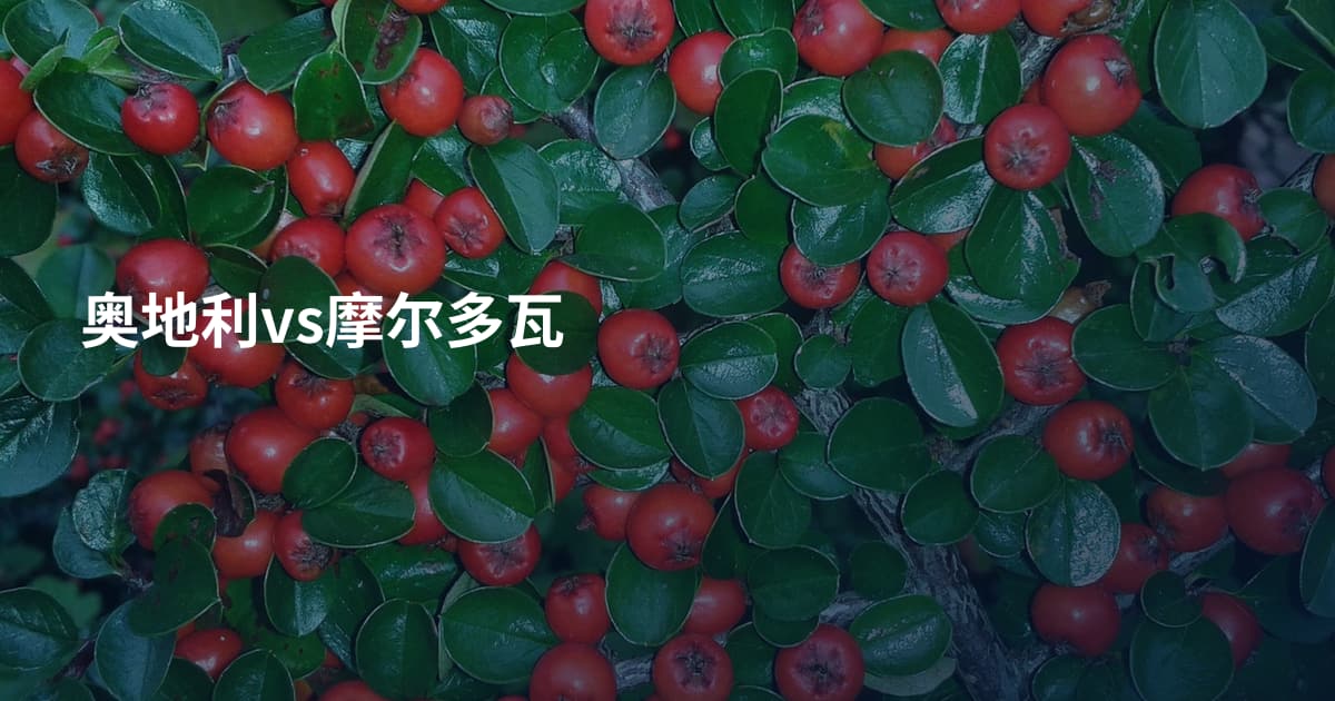 奥地利vs摩尔多瓦