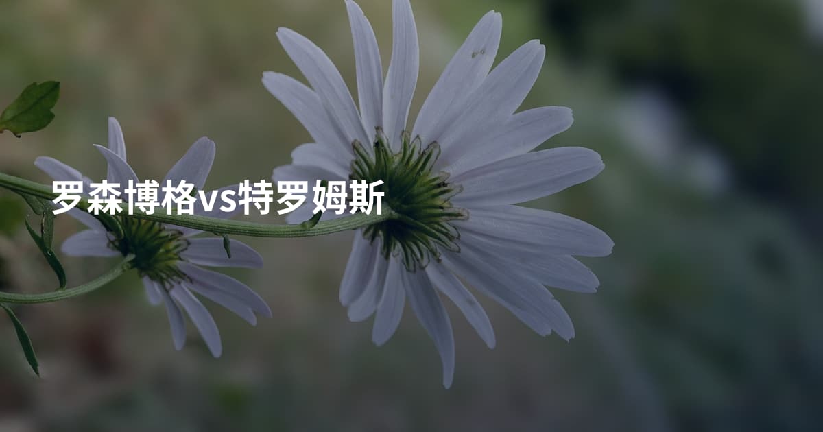 罗森博格vs特罗姆斯