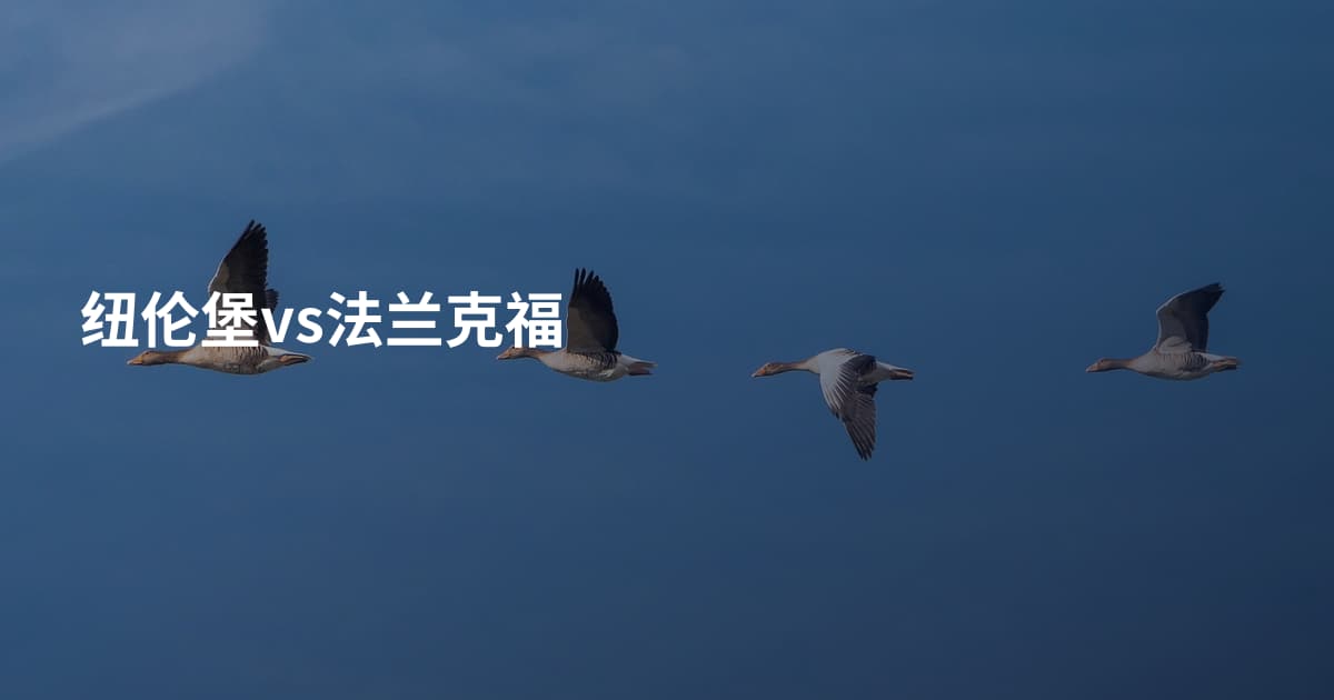 纽伦堡vs法兰克福