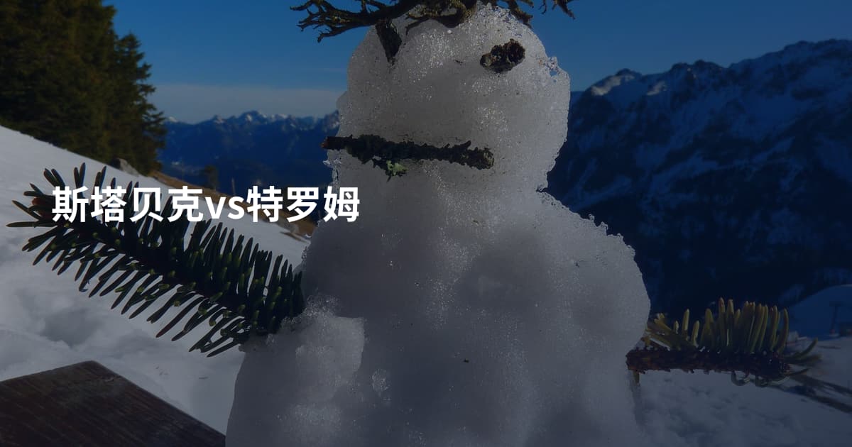 斯塔贝克vs特罗姆