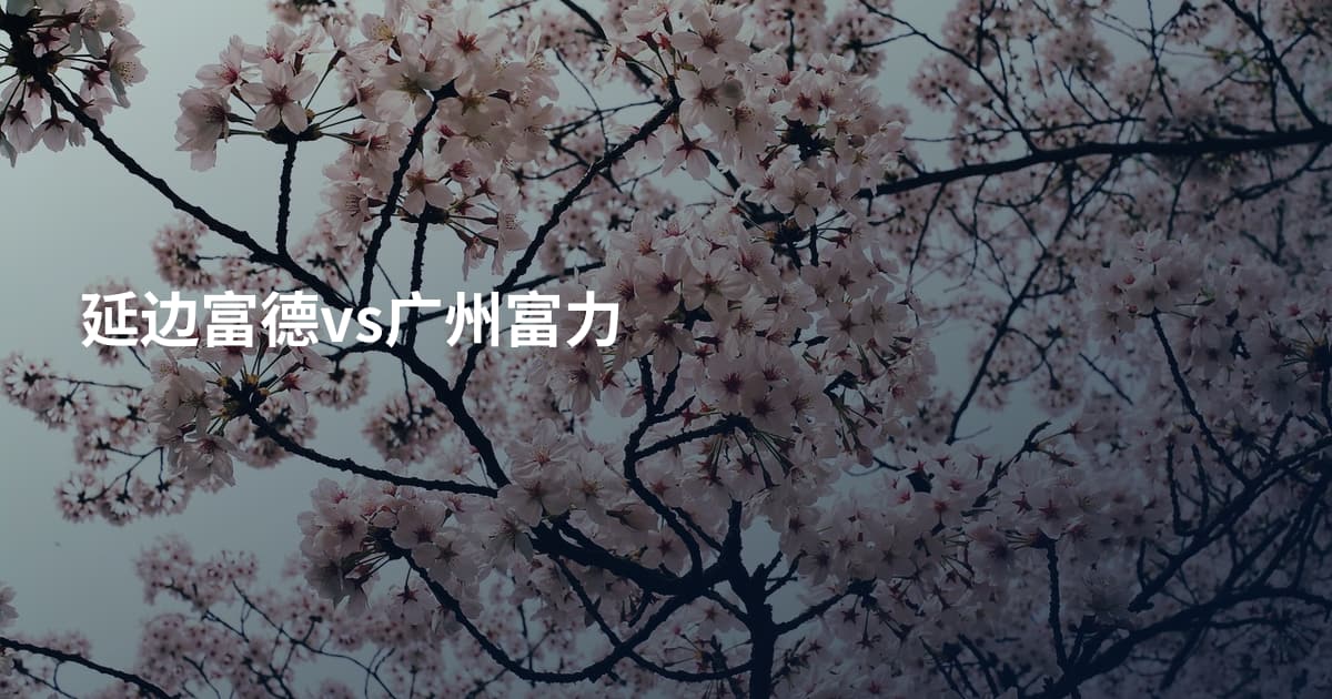延边富德vs广州富力
