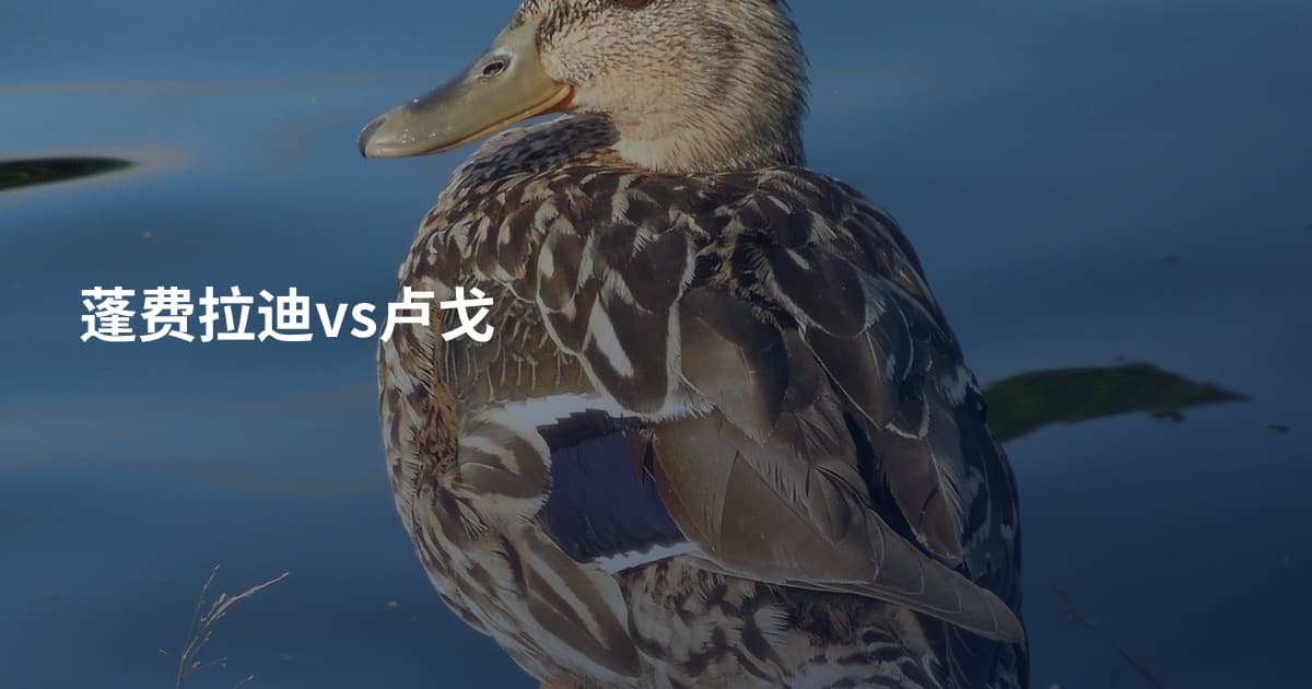 蓬费拉迪vs卢戈