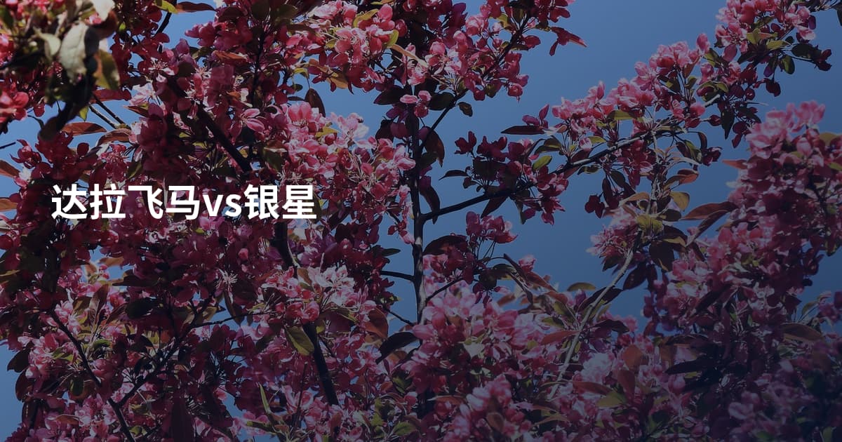 达拉飞马vs银星