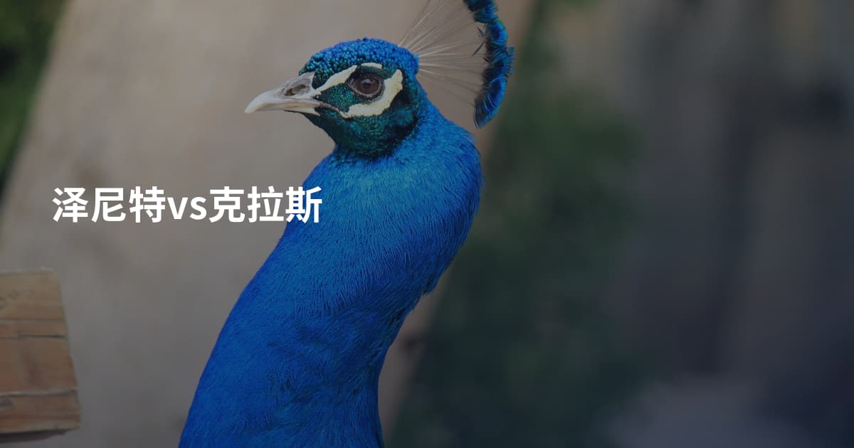 泽尼特vs克拉斯