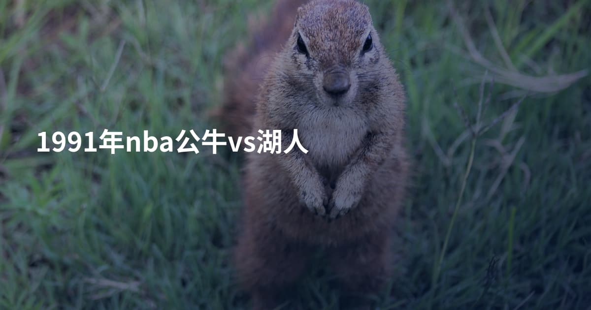 1991年nba公牛vs湖人