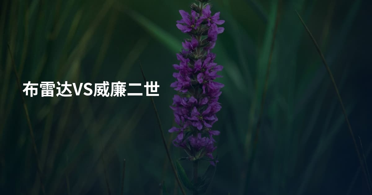 布雷达VS威廉二世