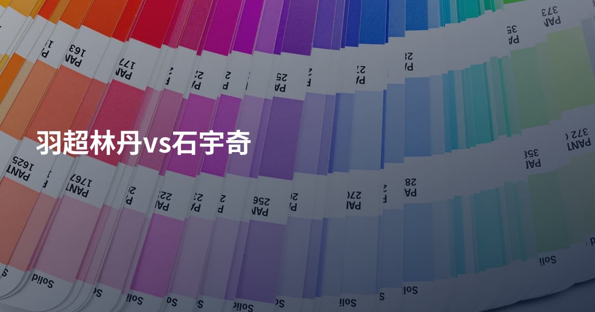 羽超林丹vs石宇奇