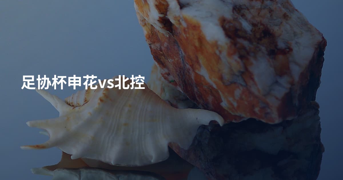 足协杯申花vs北控