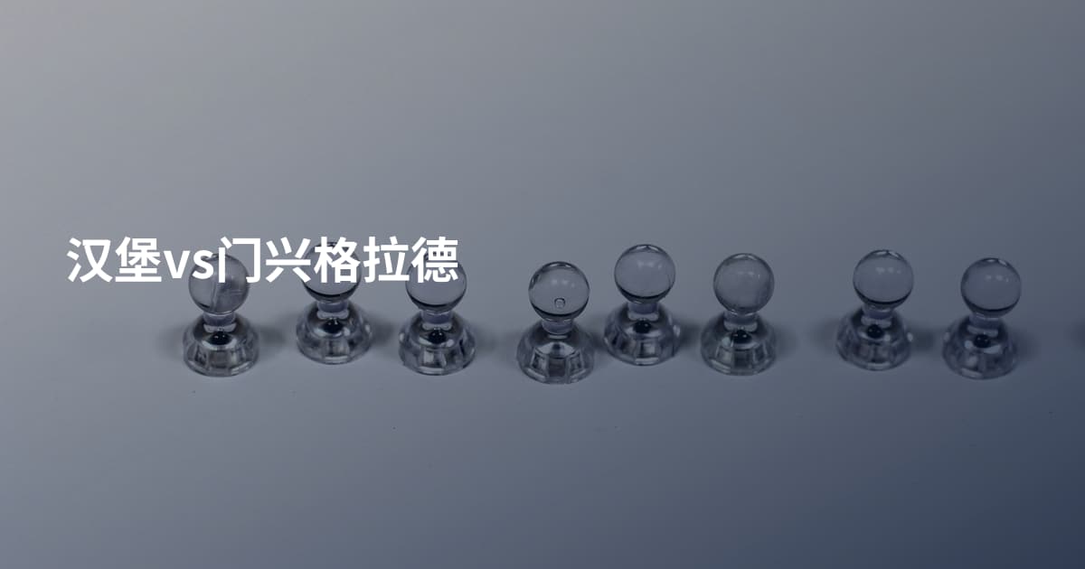 汉堡vs门兴格拉德